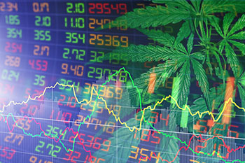 Cannabis Companies in the U.S. Could Soon List on the Stock Exchange