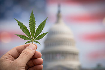 Trump Has Signed an Executive Order to Expedite Cannabis Rescheduling—But What Does It Mean?