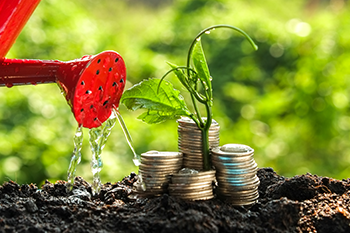 3 Ways to Secure the Financial Sustainability of Your Nonprofit